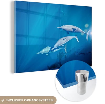 ® Glasschilderij 180x120 cm - Schilderij acrylglas - Groep dolfijnen zwemt in het heldere water nabij de Whitsundayeilanden - Foto op glas - Muurdecoratie woonkamer - Wanddecoratie slaapkamer - Schilderijen