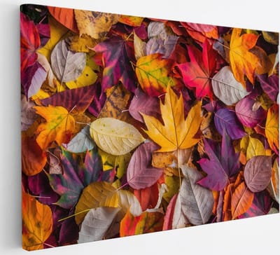 Saammp Canvas Schilderij - Geel Blad - Herfst - Landschap - Natuur - 30x20 - Foto op canvas - Wanddecoratie - Muurdecoratie Woonkamer - Slaapkamer decoratie - Canvas Print