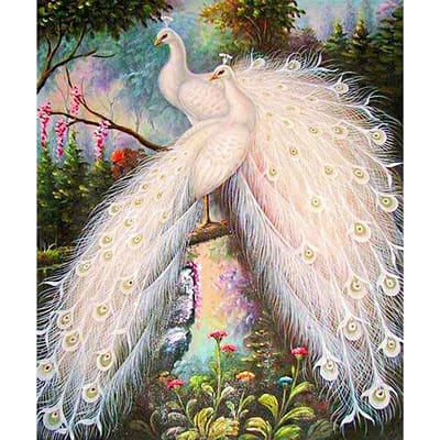 Diamant broderie motif point de croix paon blanc diamant peinture décoration bricolage 30X40CM