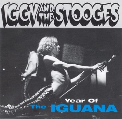 Year Of The Iguana