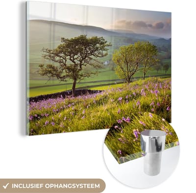 ® Glasschilderij 180x120 cm - Schilderij acrylglas - Eiken in het heuvellandschap van het Nationaal park Yorkshire Dales - Foto op glas - Muurdecoratie woonkamer - Wanddecoratie slaapkamer - Schilderijen