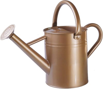 Metalen Gieter - Waterkruik Tuin - Buitenplanten Verzorgen - Verwijderbare Tuit - 1 Gallon Capaciteit - Goud