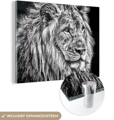 MuchoWow® Glasschilderij 40x30 cm - Schilderij acrylglas - Portret - Leeuw - Zwart wit - Foto op glas - Schilderijen