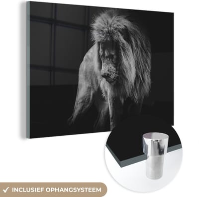MuchoWow® Glasschilderij 60x40 cm - Schilderij acrylglas - Leeuwen - Portret - Zwart - Wit - Foto op glas - Schilderijen