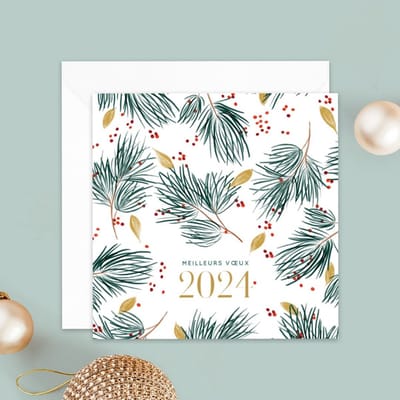 Wenskaarten 2024 Natuur En Planten Set Van 16 Witte Kaarten En Enveloppen 14 X 14 Cm Gevouwen Ideaal Voor Kerst En Nieuwjaar