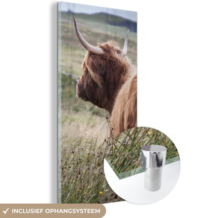 MuchoWow® Glasschilderij 20x40 cm - Schilderij acrylglas - Schotse Hooglander - Natuur - Zee - Foto op glas - Schilderijen
