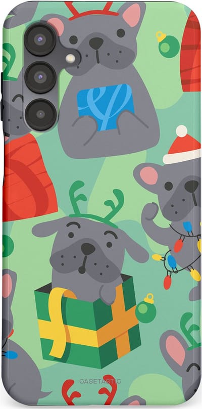 Casetastic hoesje geschikt voor Samsung Galaxy A16 - Dubbellaagse bescherming - Hondje als Kerstcadeau - Fashion Case - Mintgroen Grijs Rood