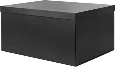 Grote Opbergdoos met Deksel, 38 x 28 x 19 cm, Kartonnen Opbergbox voor Thuis, Slaapkamer, Woonkamer en Kantoor, Ideaal voor Organisatie en Opslag