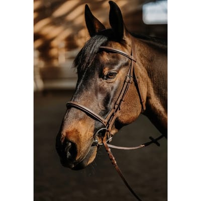 Hoofdstel Norton Hunter Soft