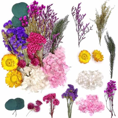 Gedroogde Bloemen Set - Natuurlijke Decoratie - Hobby Knutselen - Veelzijdig Knutselmateriaal - 19 x 9 x 0.8 cm