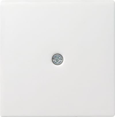 Gira Systeem 55 Schakelmateriaalinzetstuk - 027403