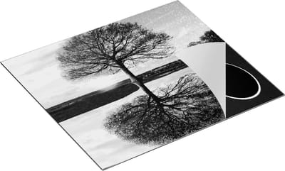 Chefcare Inductie Beschermer Vier Seizoenen Boom - Zwart Wit - 60x50 cm - Afdekplaat Inductie - Kookplaat Beschermer - Inductie Mat