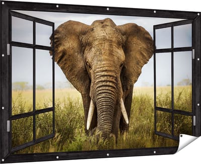 Gards Tuinposter Doorkijk Olifant in het Wild - Kleur - 180x120 cm - Tuindoek - Tuindecoratie - Wanddecoratie buiten - Tuinschilderij
