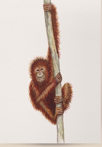 World of Mies poster aap - A4 - mooi dik papier - Snel verzonden! - tropisch - jungle - dieren in aquarel - geschilderd door Mies