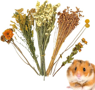 Hamster Beddengoed - Bloemen Strooisel - Habitat Verfraaien - Natuurlijk Gedroogd - 25 cm - Multicolor