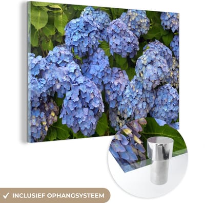 ® Glasschilderij 180x120 cm - Schilderij acrylglas - Bos bloemen van hortensia - Foto op glas - Muurdecoratie woonkamer - Wanddecoratie slaapkamer - Schilderijen