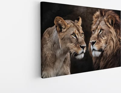 Saammp Canvas Schilderij - Leeuwen koppel - Dieren - Natuur - 45x30 - Foto op canvas - Wanddecoratie - Muurdecoratie Woonkamer - Slaapkamer decoratie - Canvas Print