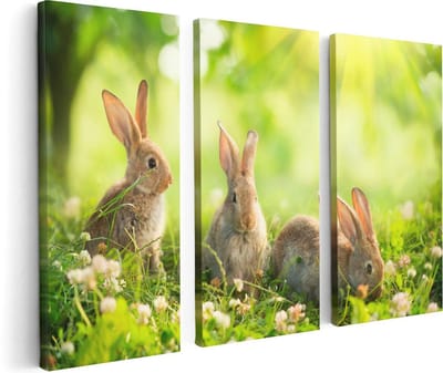 Artaza Canvas Schilderij Drieluik Drie Konijnen Op Het Gras Bij Zonneschijn - 120x80 cm - Wanddecoratie Woonkamer - Schilderijen - Muurdecoratie