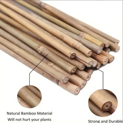 Tonkinstokken - 25 stuks - 61 cm - Voor plantenondersteuning