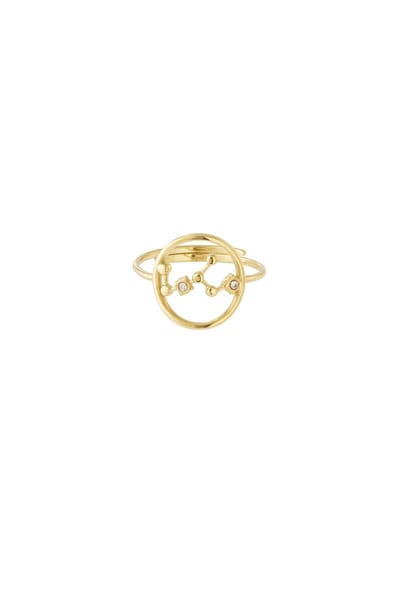 12 zodiac-ringen - Goudkleur