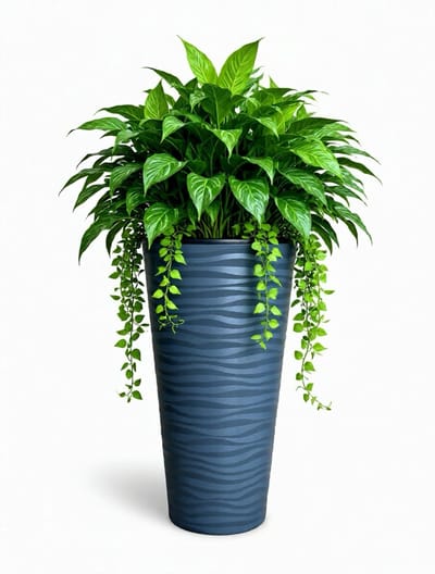 Lange Hoge bloempot Rond antraciet vaas 80cm Hoog plantenbak aan deur binnen buiten