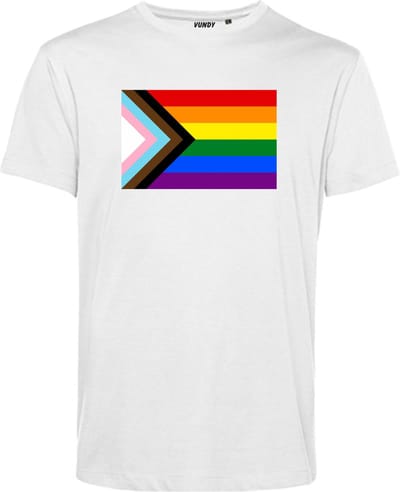 T-shirt LHBTIQ+ Vlag | Gay pride shirt kleding | Regenboog kleuren | LGBTQ | Wit | maat XS