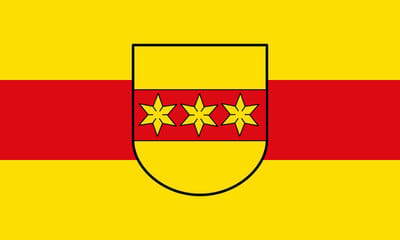 Vlag Rheine 100x150cm
