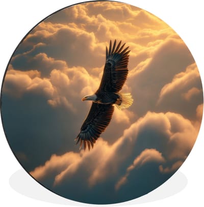 WallCircle - Wandcirkel - Muurcirkel - Adelaar - Wolken - Zon - Aluminium - Dibond - 30x30 cm - Binnen en Buiten
