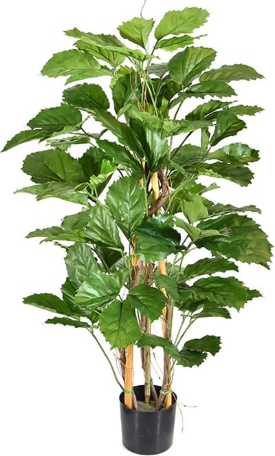Tetrastigma kunstplant 120cm
