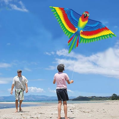 Grote Vlieger Papegaaidraak voor Kinderen en Volwassenen - 130 x 96 cm, Ideaal voor Strand en Park
