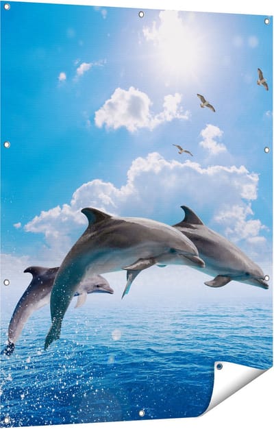 Gards Tuinposter Dolfijnen Springen uit de Blauwe Zee - 90x120 cm - Tuindoek - Tuindecoratie - Wanddecoratie buiten - Tuinschilderij