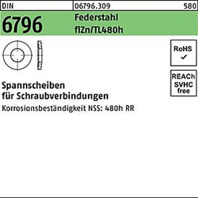 Klemring DIN 6796 6x1 4x1,5 Veerst. verzinkt. G condu. flZnnc 480h-L 2500