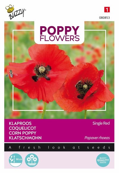 Buzzy® Poppies of the world - Klaproos Rhoeas Rood