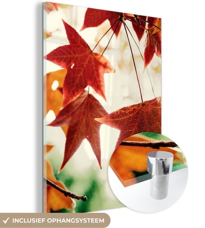MuchoWow® Glasschilderij 30x40 cm - Schilderij acrylglas - Herfstbladeren - November - Natuur - Bomen - Foto op glas - Schilderijen