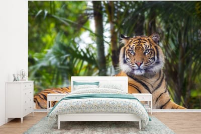 Behang - Fotobehang Tijger - Dieren - Bos - Bladeren - Jungle - Breedte 320 cm x hoogte 240 cm