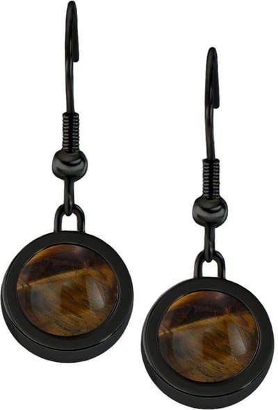 Quiges RVS Schroefsysteem Oorhangers Oorbellen Zwart met Verwisselbare Tiger's Eye Bruin Mini Munt Set - ECOS288