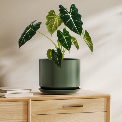 Stijlvolle keramische plantpot voor binnen en buiten, perfect voor groene planten en decoratie
