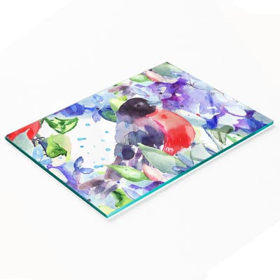 Multifunctionele decoratieve snijplank van gehard staal voor de keuken, met vogel- en bloemenmotief, 80x52 cm
