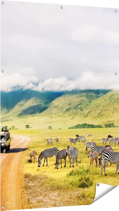 Gards Tuinposter Safari Auto tussen de Zebra's - 100x150 cm - Tuindoek - Tuindecoratie - Wanddecoratie buiten - Tuinschilderij