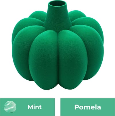 Pomela organische vaas – Decoratieve vaas - Mint - 3d geprinte vaas – geschikt voor droogbloemen - :hoogte: