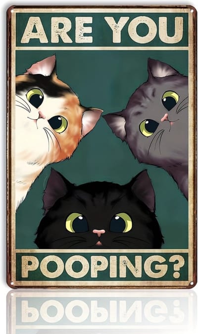 Nivard Are You Pooping Cat - Are You Pooping - Have A Nice Poop - Your Butt Napkins My Lord - Poster - Grappige Poster - 20x30cm