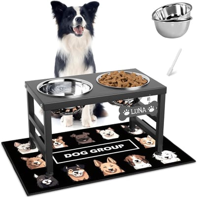 Verhoogde Hondenbakken - Voerstandaard Honden - Comfortabel Eten - Inclusief Mat - 23.9 x 43.2 cm - Zwart