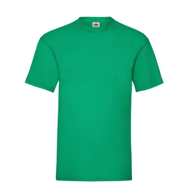 Fruit of the Loom Unisex Adult Waardevol T-Shirt (Kelly Groen)