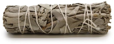 Smudge Stick - Dream Sage 10cm