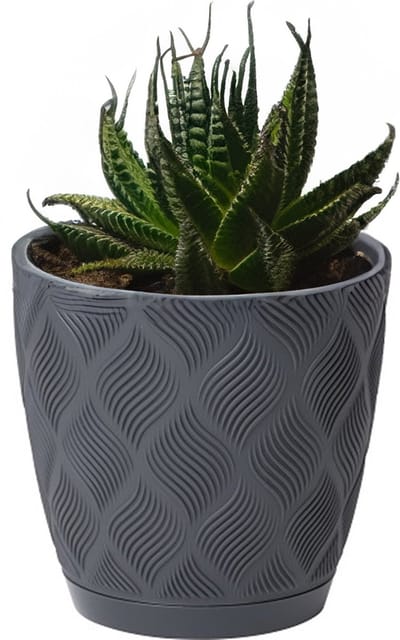 Form Plastic Plantenpot/bloempot New Age - kunststof - antraciet - D27 x H24 cm - met opvang schotel - rond