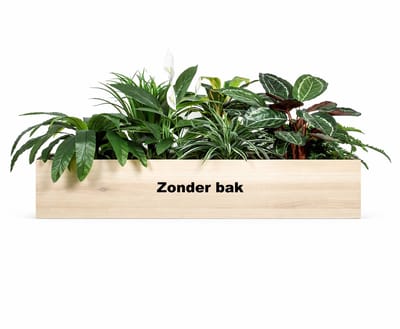 Kunstplantenpakket Enkhuizen (t.b.v. kast 120 cm breed)