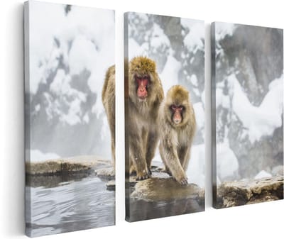 Artaza Canvas Schilderij Drieluik Twee Aapjes In De Sneeuw Op Rotsen - 120x80 - Foto Op Canvas - Canvas Print