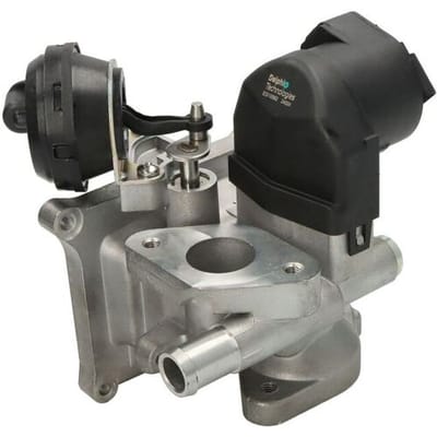 EGR-klep DELPHI EG10562-12B1