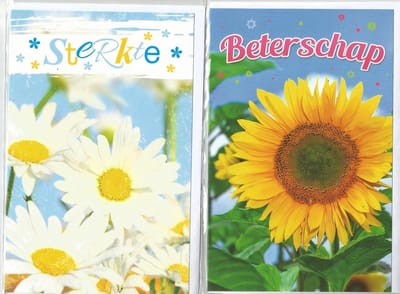 Beterschap Sterkte Wenskaarten 8 stuks