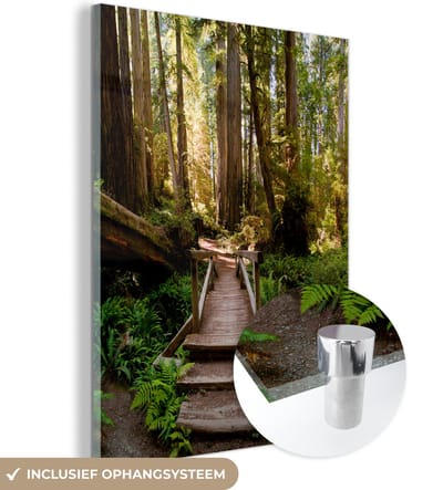 MuchoWow® Glasschilderij 30x40 cm - Schilderij acrylglas - Jungle - Natuur - Trap - Bomen - Foto op glas - Muurdecoratie woonkamer - Wanddecoratie slaapkamer - Schilderijen